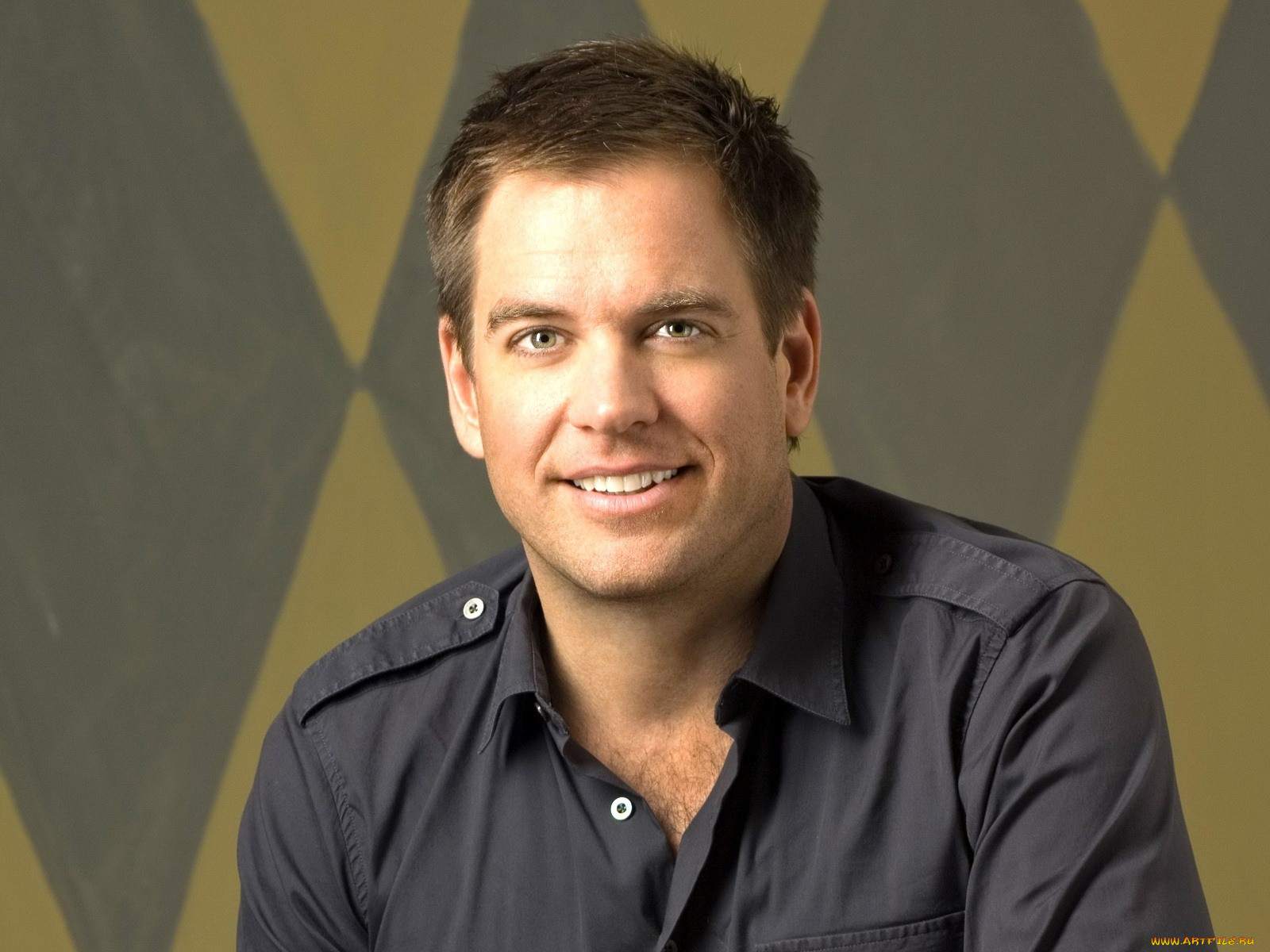 michael, weatherly, 